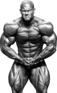 hypertrophy execution mastery pdf hypertrophy execution mastery pdf