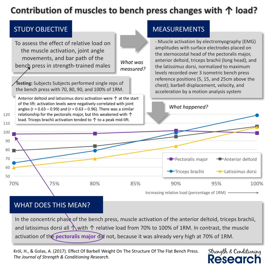 hypertrophy execution mastery pdf